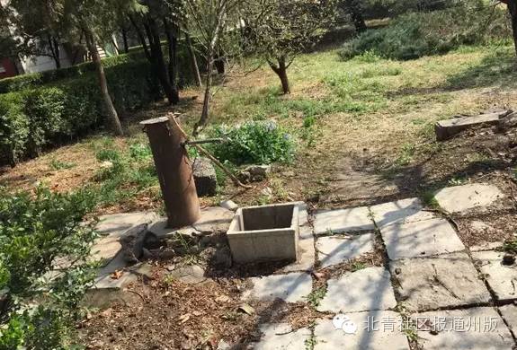 首师大附中通州校区实验班,采访师大附中