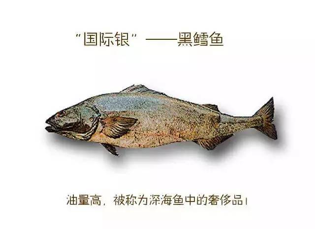 槌曢奔鎬庝箞涔版渶濂藉悆 (鎬庢牱涔伴硶楸兼渶濂藉悆)