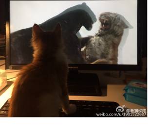 没想到你是这样图片,没想到你是这样的国语版