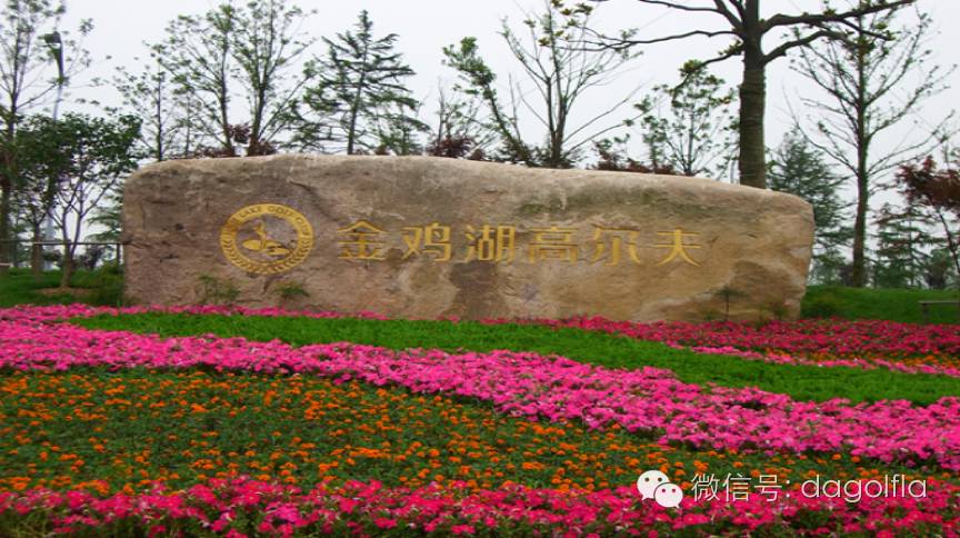 团购高尔夫练习场,高尔夫球优惠活动