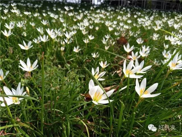 谁再说国产手机不行，请拿这篇文章甩他一脸！