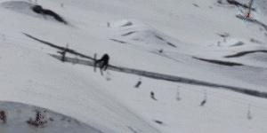 羊驼带你看懂双板Slopestyle（下）