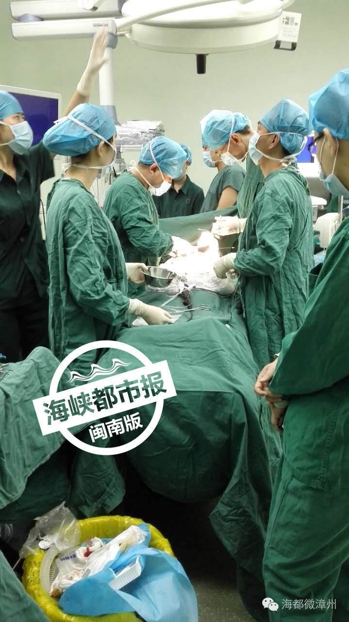 大妈被虫子咬,福建被虫咬案例