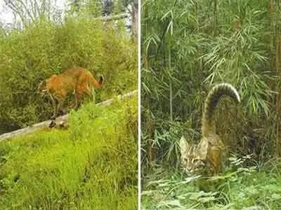 新闻消息甘肃,甘肃庆阳新闻早知道