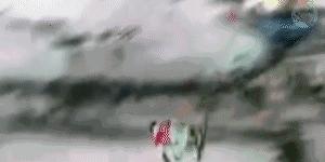 羊驼带你看懂双板Slopestyle（下）