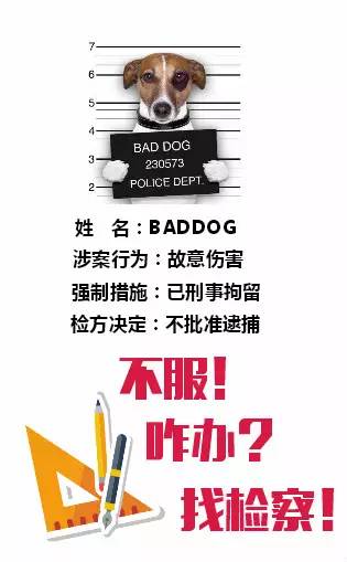 有图有真相解析,有图有真相还要调查核实吗