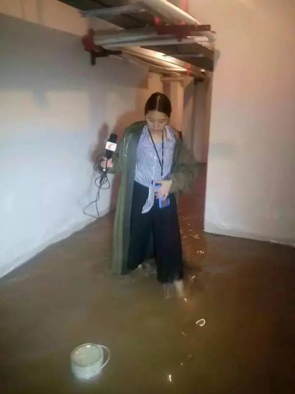 奋斗的青春最美丽直播完整版,奋斗的青春最美丽特别节目