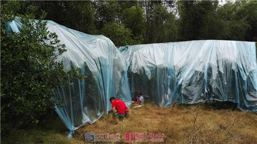 宅而有味螺蛳粉柳州特产,2019柳州螺蛳粉双11