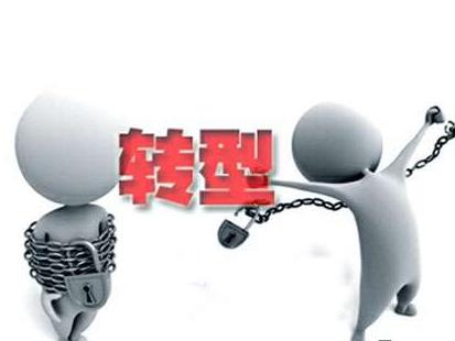 企业重构案例分析,企业发展中的各种效应