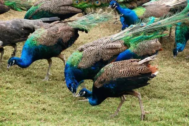 冬季暖心出行,冬季出行暖心服务