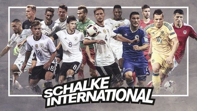 沙尔克04全明星阵容,德甲沙尔克04球员名单