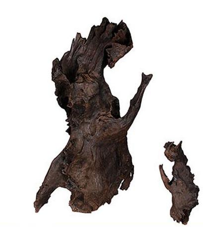 乌木是指什么木,最硬的乌木是什么木