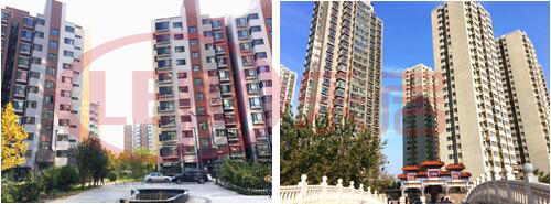 zen相只有一个！建昌道，你究竟要嘎嘛