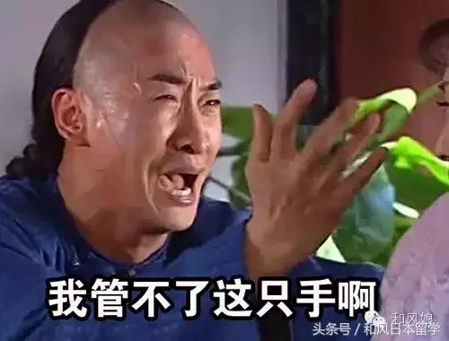 日本圣诞限定彩妆,圣诞美妆限定