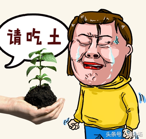 双十一防坑秘籍,双十一避坑终极指南