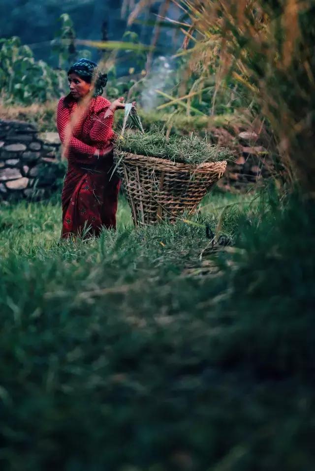 三十年以前的世界,三十年前的世界