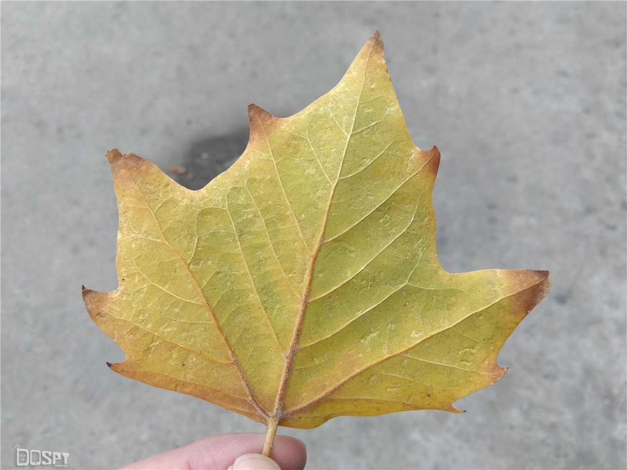 骁龙版360n4s值得买,360n4s骁龙版好用吗