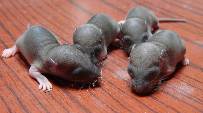 很多民间小方法其实都可治大病,小窍门小偏方大全图解