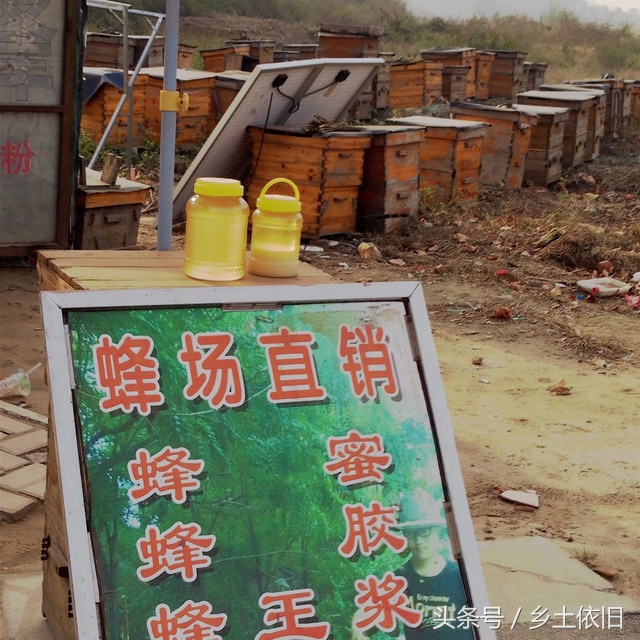 当下火爆的养殖项目有哪些,有什么养殖项目投资低利润高的