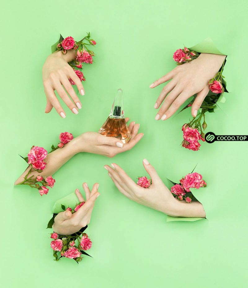 室内平面设计0基础教程,成人自考平面设计基础