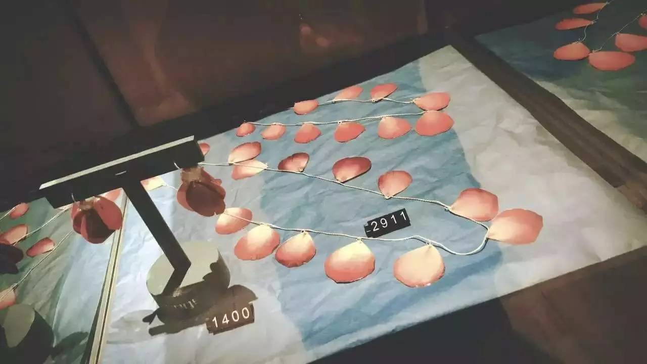 为了了解什么是好物，她3年时间把自己家所有家具摆设换了3遍