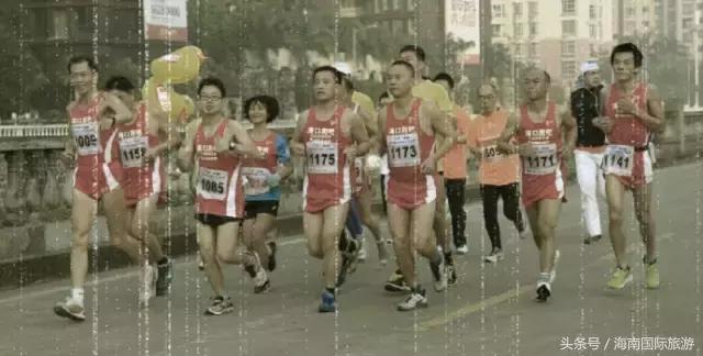 那些年我们一起走过的路,那些年我们一起遛过的狗