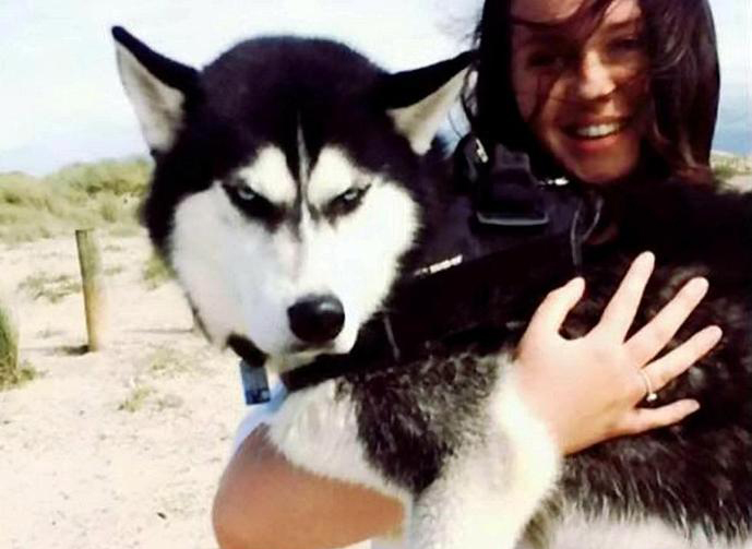 新旧“萌宠网红”哪家强？去问问那位做美甲的“腊肠”！