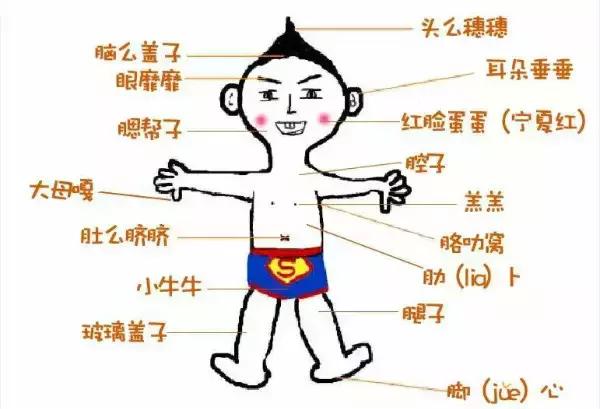 只有新疆人才能看懂的视频,只有1%的人才能看懂的东西