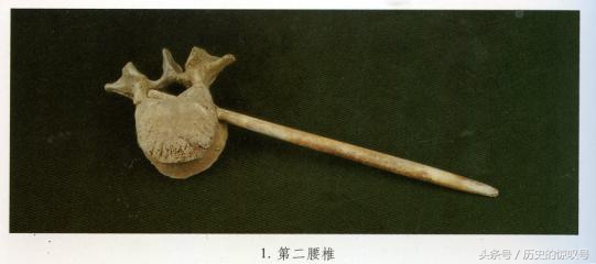 令考古学家都意想不到的发现,令人惊叹的考古发现