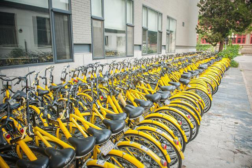 上海人骑共享自行车,现在上海共享单车怎样使用