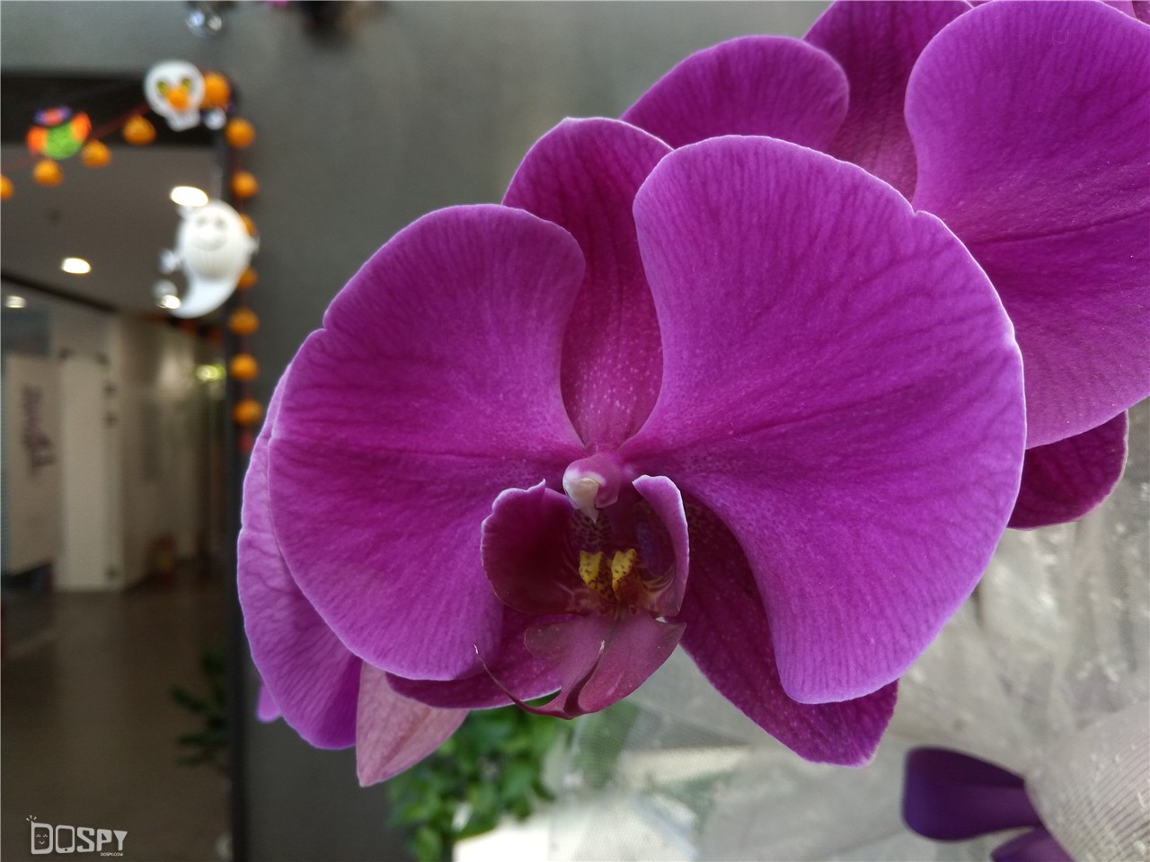 骁龙版360n4s值得买,360n4s骁龙版好用吗