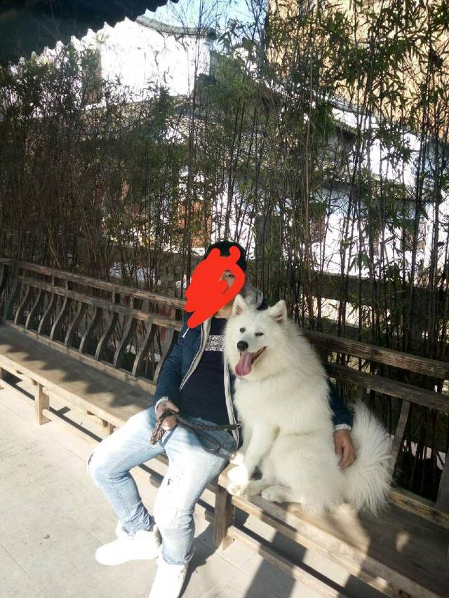 和女友分手后，把狗狗放老家，白富美立即变成黄脸婆