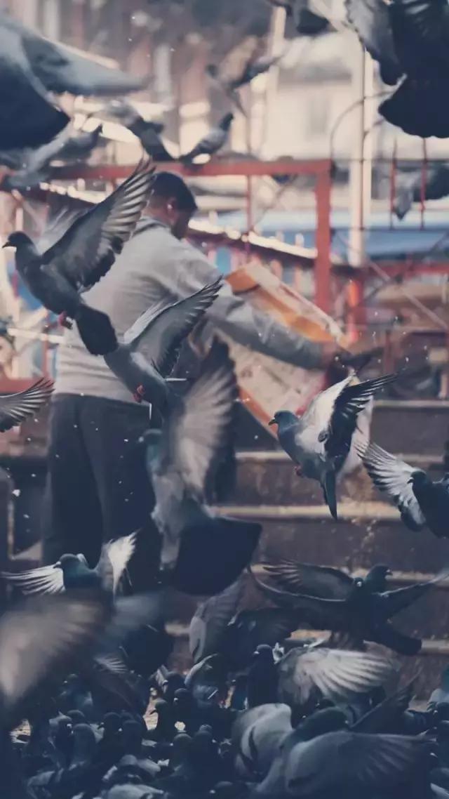 三十年以前的世界,三十年前的世界