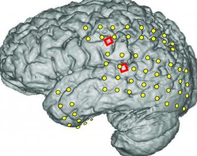 发明起死回生,这个发明造福了全世界家庭
