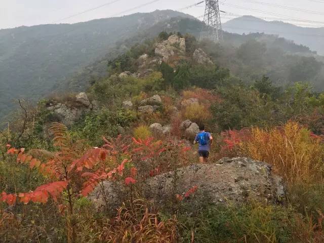 ironman铁人三项中国,ironman世界铁人三项赛厦门站