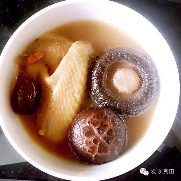 良田路演：景语菇——不忘初心，与梦同行