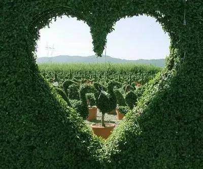 尖锐性湿疣会造成癌症吗,尖锐性湿疣会导致哪种癌症