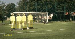 足球中场任意球的技巧,罗纳德科曼罚球技巧