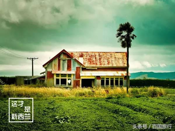 新西兰美到让人窒息,新西兰哪里最美