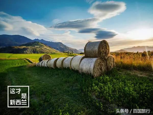 新西兰美到让人窒息,新西兰哪里最美