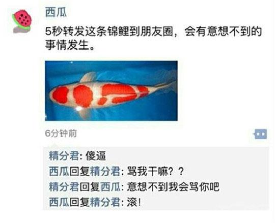 没有耳洞结婚要买金耳环吗,没有耳洞结婚饰品