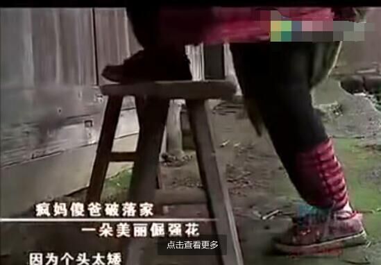 在破落家里，小海萱是朵美丽的坚强花