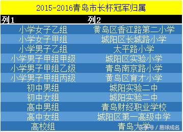 青岛市第二十九届市长杯决赛日期,青岛市第29届市长杯