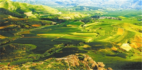 薪火相传奈曼人图片,薪火相传奈曼人