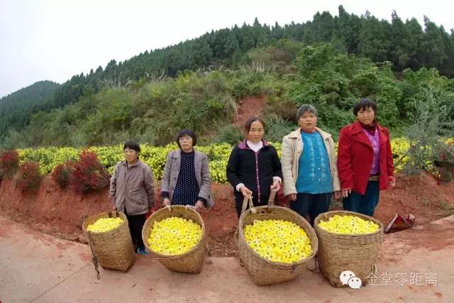 去金堂玉皇山养生谷耍一耍,金堂玉皇山一日游最佳路线