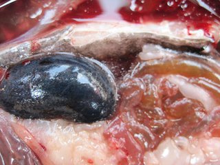 很多民间小方法其实都可治大病,小窍门小偏方大全图解