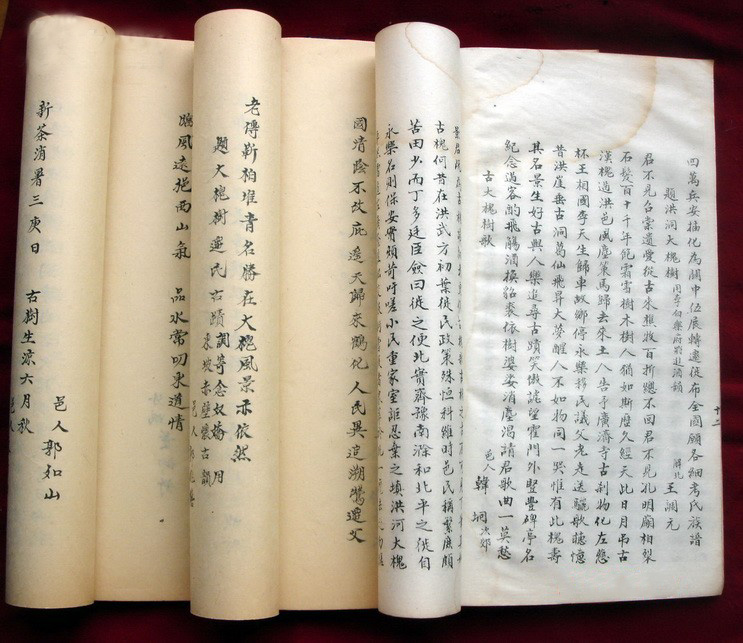 敢问祖先在何处山西洪洞大槐树,若问祖先在何处山西洪洞大槐树