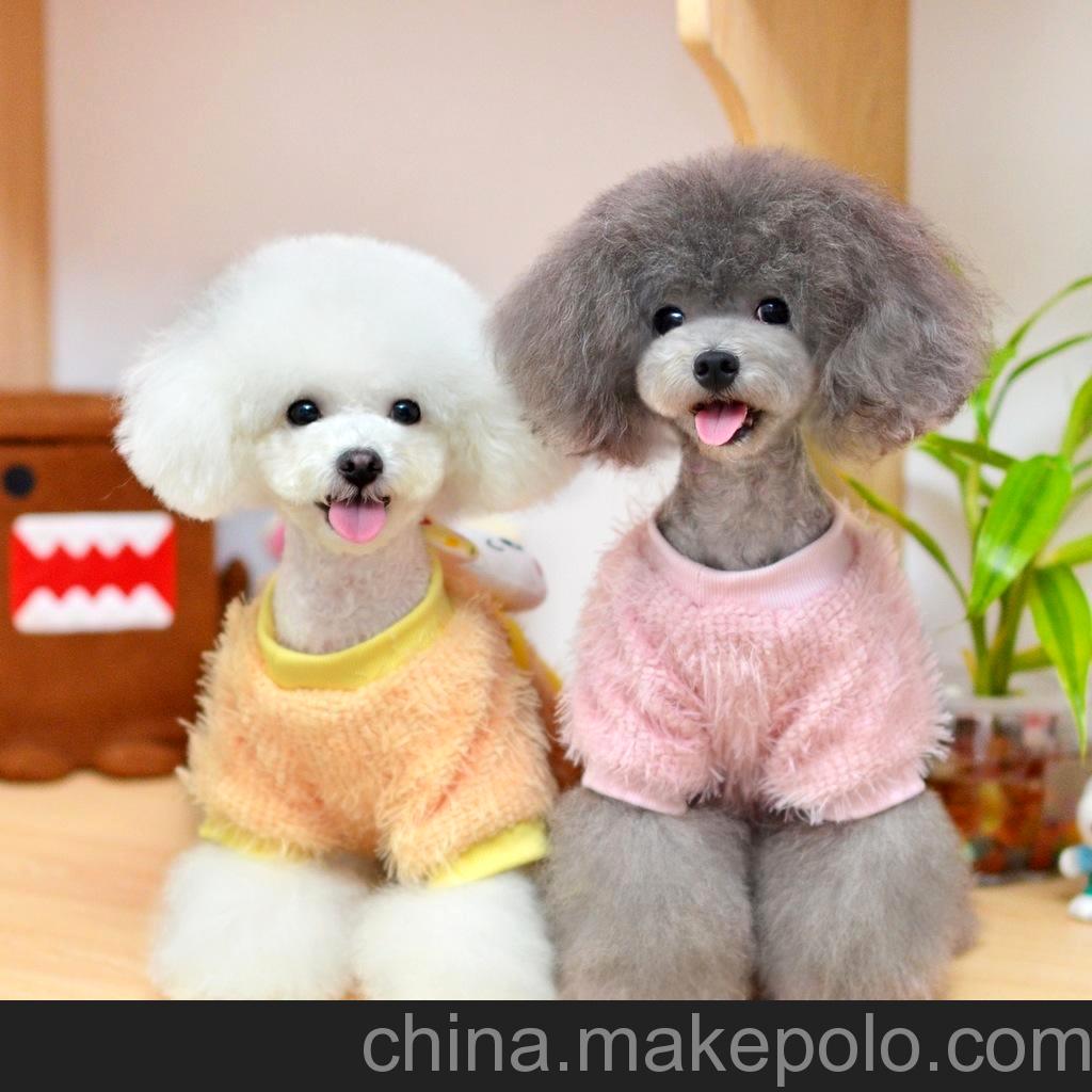 狗狗的生活习惯,狗狗的生理系统