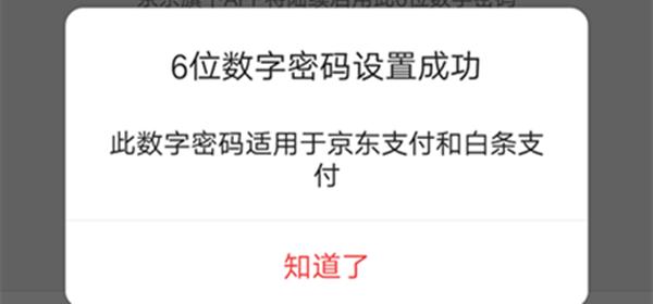 使用京东白条后怎么还款,京东白条怎么一次性还款