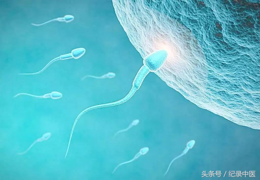 记录癌症被治好的一本书,被判无期的中医